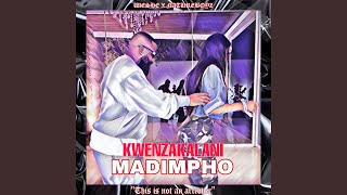 MADIMPHO KWENZAKALANI TIKTOK AMAPIANO SONG feat Natureboyz [upl. by Sheldon]