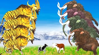 Five Zombie Mammoths Vs Zombie Tiger Bull Fight Attack Cow Cartoon Saved by Mammoth Elephant [upl. by Clementia203]