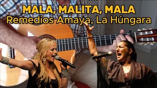 MALA MALITA MALA La Húngara Remedios Amaya ACORDES GUITARRA [upl. by Atem552]