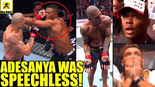 MMA Community reacts to Alex Pereira Knocking out Jamahal Hill at the GREATEST CARD EVER UFC 300 [upl. by Annehs859]