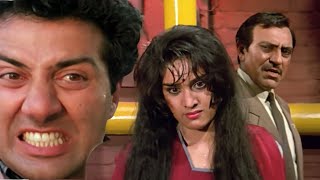 Ghayal Movie सनी पाजी की Girlfriend को किया किडनैप  जबरजस्त Action amrishpuri sunnydeol [upl. by Akkeber]