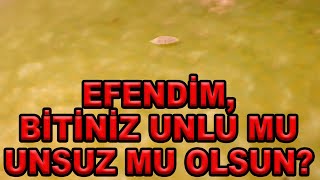 TURUNÇGİL UNLUBİTİ VE MÜCADELESİ HAKKINDA ÖZET BİLGİLER [upl. by Hoshi]