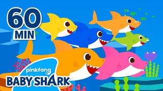 Baby Shark Doo Doo Doo 1 hour  Compilation  Songs for Kids  Baby Shark Official [upl. by Sluiter183]