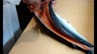 Lachs filetieren  How to filet salmon [upl. by Hanid]