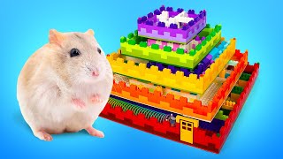 5Level Hamster Maze from Slick Slime Sam [upl. by Nehgam]