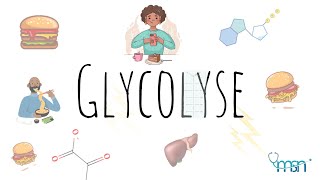 Les 10 étapes de la glycolyse Cest facile [upl. by Clem]