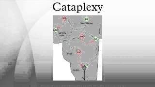 Cataplexy [upl. by Ecertak]