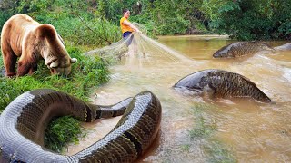 Full video Use fishing nets to catch fish during heavy rainy and flood seasons [upl. by Boynton62]