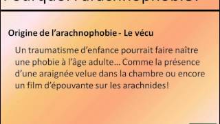 Comprendre et soigner larachnophobie [upl. by Eded]