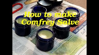 How to Make Herbal Comfrey Salve or Balm using Fresh Comfrey Leaves [upl. by Bosson]