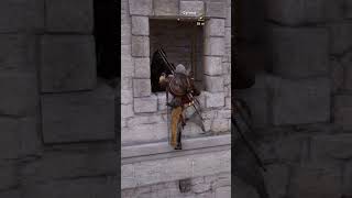 Assassins Creed Same Animation [upl. by Budwig960]