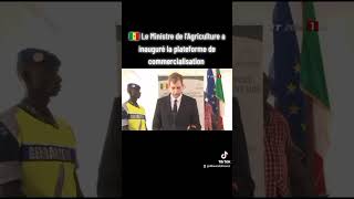 🇸🇳 Le Ministre de lAgriculture a inauguré la plateforme de commercialisation et de stockage [upl. by Mccandless]