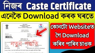 How to Download Cast Certificate  RTPS site Caste certificate download Problem solved 100 [upl. by Inalaeham676]