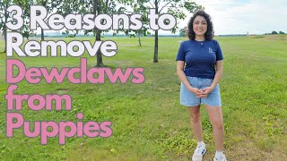 3 Reasons to Remove Dewclaws from Puppies [upl. by Akinehc]