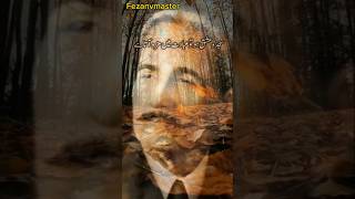 9 November holiday 2024 allamaiqbal poetry trending viralshorts 1millionviews [upl. by Gerkman]