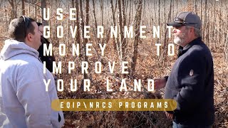 IMPROVE YOUR PROPERTY WITH GOVERNMENT FUNDING  EQIP NRCS PROGRAMS  Food plots patch clear cut [upl. by Laird]