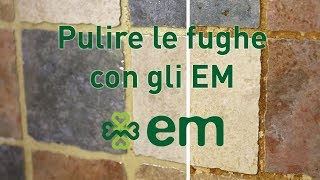 Pulire le fughe in modo naturale con gli EM [upl. by Manheim]