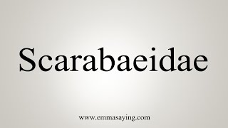 How To Say Scarabaeidae [upl. by Crean]