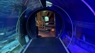 Sea Life Aquarium Paris 4K [upl. by Nal]