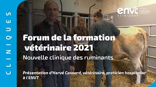 Forum de la formation vétérinaire [upl. by Lleunamme418]