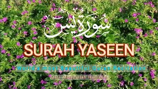 Surah yasin Yaseen full with arbic  Beautiful recitation سورة يٰٓسين 🌺 By Qari abadullah Humaeid [upl. by Cormac]