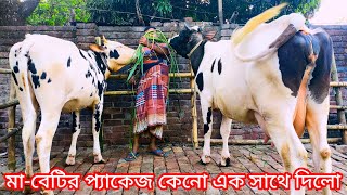 নতুন ভালো মানের বকনা গাভীর প্যাকেজ তুহিন ভাইয়ের  জানতে ফুল ভিডিওটা দেখুন [upl. by Sykes]