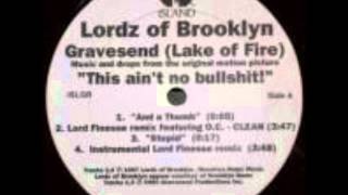 LORDZ OF BROOKLYN  LAKE OF FIRE EXTENDED REMIX [upl. by Ailegave222]