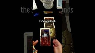 Urgent Tarot Message for You Now tarot tarotreading short [upl. by Schaffel419]