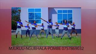 Mjukuu Ngubhala Song Pombe Official Audio [upl. by Vida]