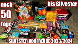 SILVESTER VORFREUDE 20232024 6 nur noch 50 Tage bis Silvester  KRAZY CLOCK amp SCREAM 🤩😱🎆 [upl. by Ferrell153]