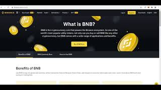 BNB Flash Loan Arbitrage How to Receive 10 BNB from PancakeSwap Full Tutorial 2022 [upl. by Earlie177]