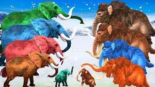 10 Zombie Mammoths Vs Elephants Fight on Snow To save Baby Woolly Mammoths Elephants [upl. by Crotty]