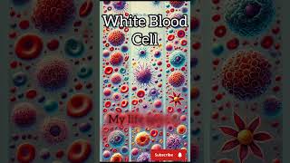 WBC vs RBC vs Platelets Lifespanwbc rbc lifespan [upl. by Hsiri495]