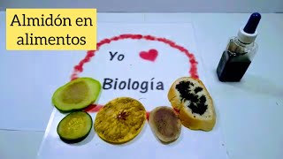 Almidón en alimentos Experimento  BiologíayEcología experimentossencillosdebiología [upl. by Viscardi182]