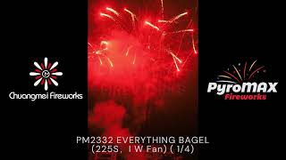 PM2332 EVERYTHING BAGEL [upl. by Analiese]