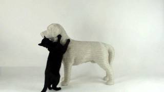 A DOG shaped scratch post for cats Designed by Studio Erik Stehmann [upl. by Yannodrahc]