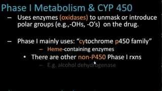 Phase I Metabolism  Pharmacology Lect 7 [upl. by Aimal]