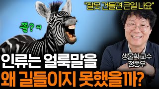 인간이 죽었다 깨어나도 절대 길들일 수 없는 동물 ㅋㅋ [upl. by Theall]