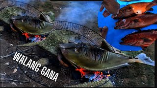 vlog 457 Catch and cook and sell today spearfishing ilovepalawan [upl. by Noside816]