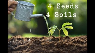 Sunday PM Worship  September 8th 2024  quot4 Seeds 4 Soilsquot [upl. by Ytram145]