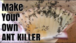 How To Make Homemade ANT KILLER [upl. by Baten]