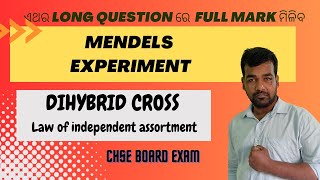 DIHYBRID CROSS OF MENDEL  MENDELS HYBRIDIZATION EXPERIMENT  LONG QUESTION  CHSE CLASS 12 [upl. by Kuhn184]