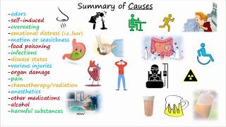 Antiemetics amp Antinausea Medications [upl. by Fadil]