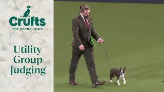 Utility Group Judging  Crufts 2024 [upl. by Jephum]