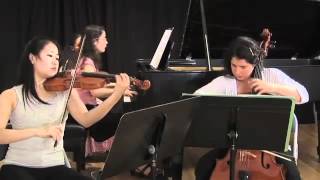 Piano Trio in A Minor  Passacaille Tres Large 3rd Movement  Maurice Ravel [upl. by Phedra]