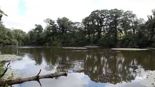 PORT ELIOT LAKES ST GERMANS SALTASH CORNWALL [upl. by Eetsim]