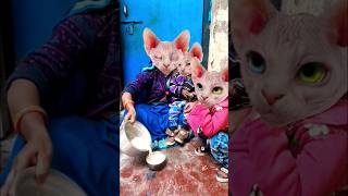 Lalla Lalla Lori doodh ki Katori Lalla Kare Tamasha🙀🙀🙀🙀😃😃😃😃😛😛😛🍚🍚🍚🍚🍚👈👈👈 funny cute viral short video🙀 [upl. by Attenov211]