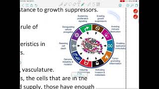 PHARMACOLOGY  LEC5  ANTINEOPLASTIC AGENTS 1  Mohammad AItradat [upl. by Narmis232]