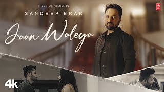 JAAN WALEYA Official Video  Sandeep Brar  Latest Punjabi Songs 2024  TSeries [upl. by Weinstein]