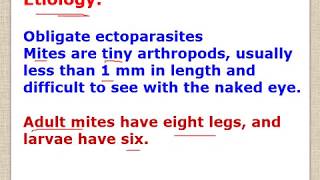 sarcoptic and psoroptic mange lecture for vet students [upl. by Mordy]